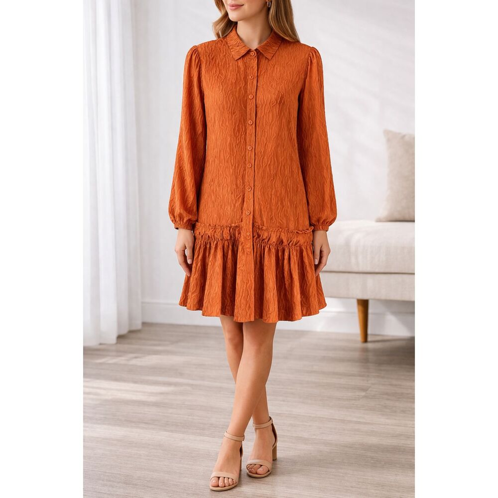 Cotton Poplin Taylor Tillman Harper Long Sleeve Shirt Dress Brown S